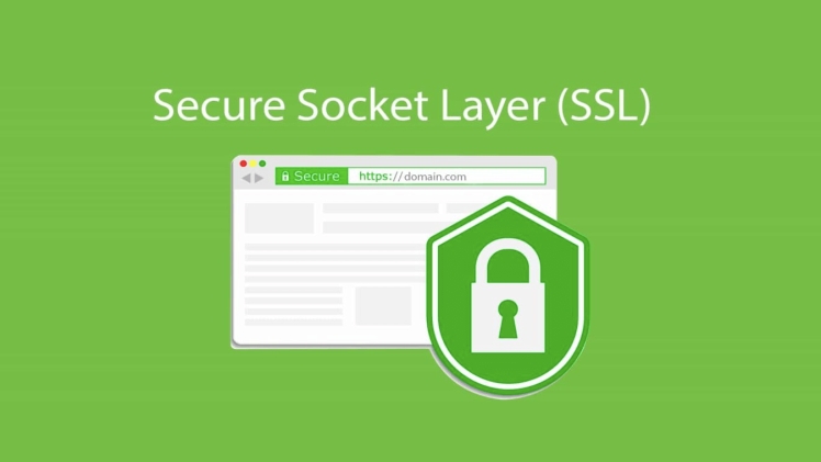 When Using A Secure Server, How Do Ssl Certificates Function?