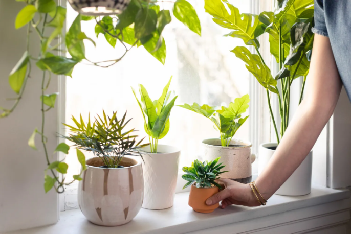 Creative DIY Projects: Crafting with Artificial Plants for Unique Home Accents